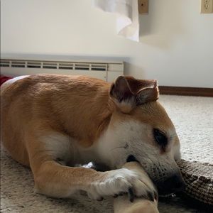 Meet your Posher, Genevieve